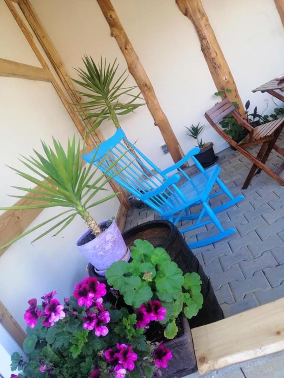 Hotel Collias Horezu Zewnętrze zdjęcie